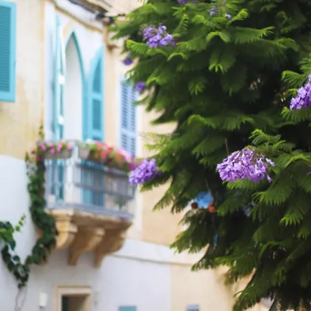 Giljana Ensuite Shared Terrace & Kitchen Rum i privatbostad St. Julian's