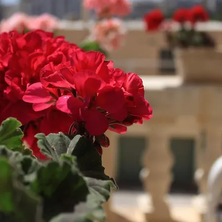 Giljana Ensuite Shared Terrace & Kitchen Rum i privatbostad St. Julian's