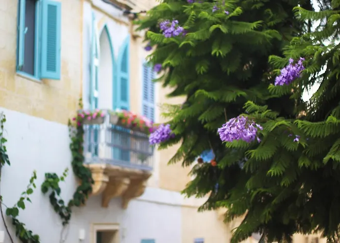 Giljana Ensuite Shared Terrace & Kitchen Homestay szállás San Ġiljan