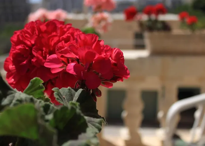 Giljana Ensuite Shared Terrace & Kitchen Homestay szállás San Ġiljan